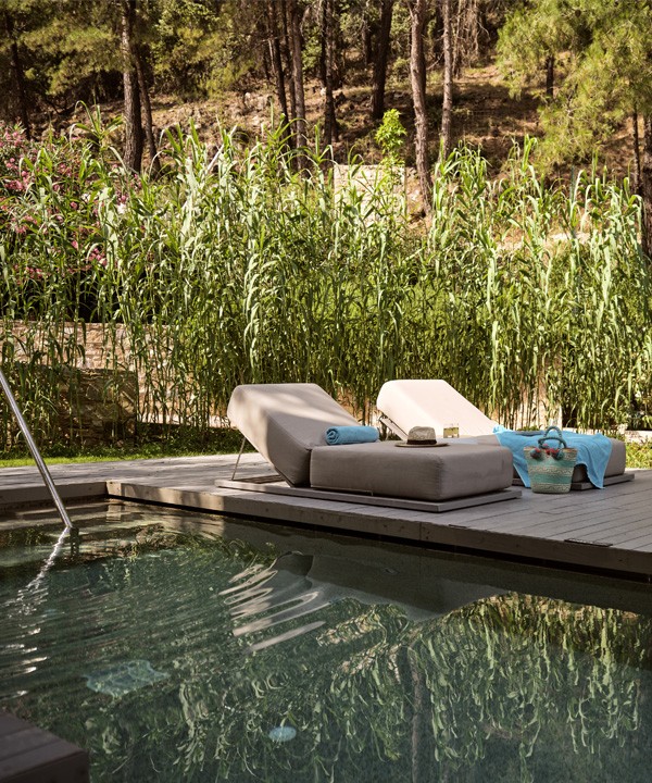 TWO-ROOM SUITE PRIVATE POOL FOREST VIEW